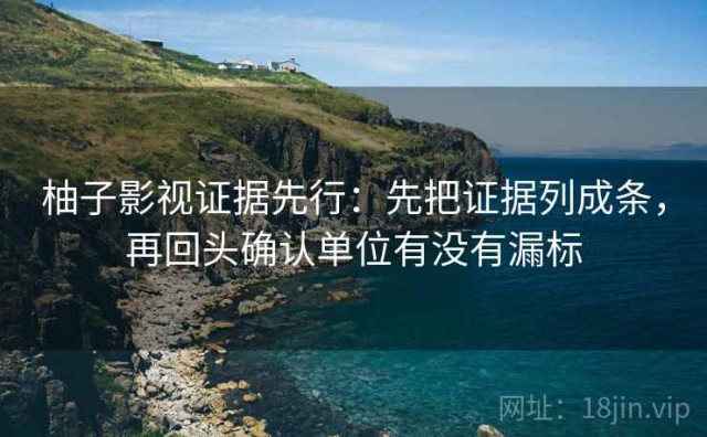 柚子影视证据先行：先把证据列成条，再回头确认单位有没有漏标