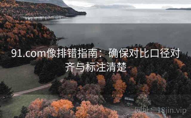 91.com像排错指南：确保对比口径对齐与标注清楚