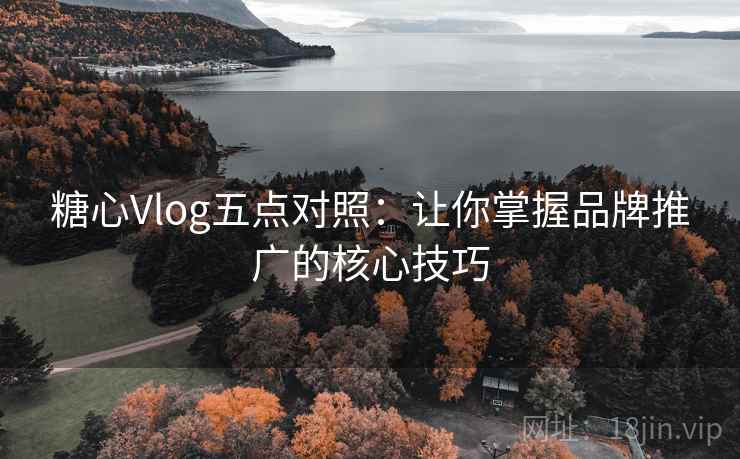 糖心Vlog五点对照：让你掌握品牌推广的核心技巧
